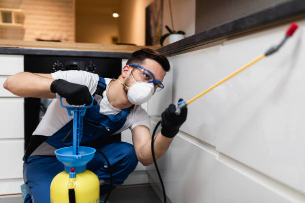 Best Flea Control Services  in Bowmanstown, PA