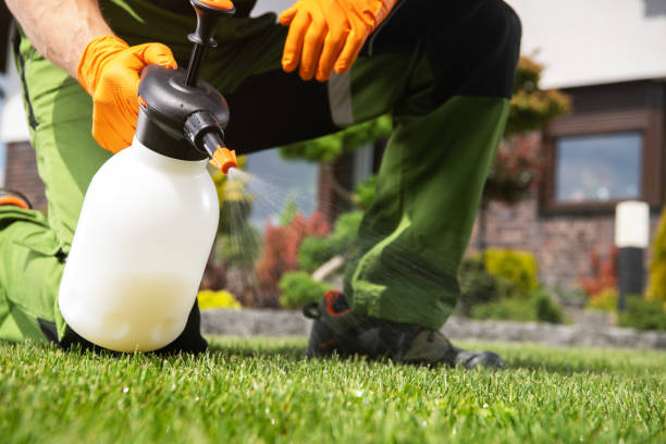 Best Pest Prevention Services  in Bowmanstown, PA