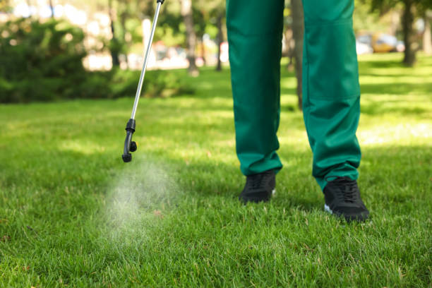 Best Mosquito Control Services  in Bowmanstown, PA