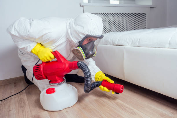 Best Pest Control Near Me in Bowmanstown, PA